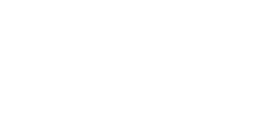 Logo_MeinBeratungseinsatz_Weiß